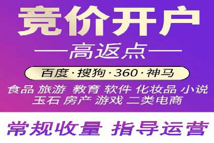 某品牌SEM推广代运营的实践与效果评估